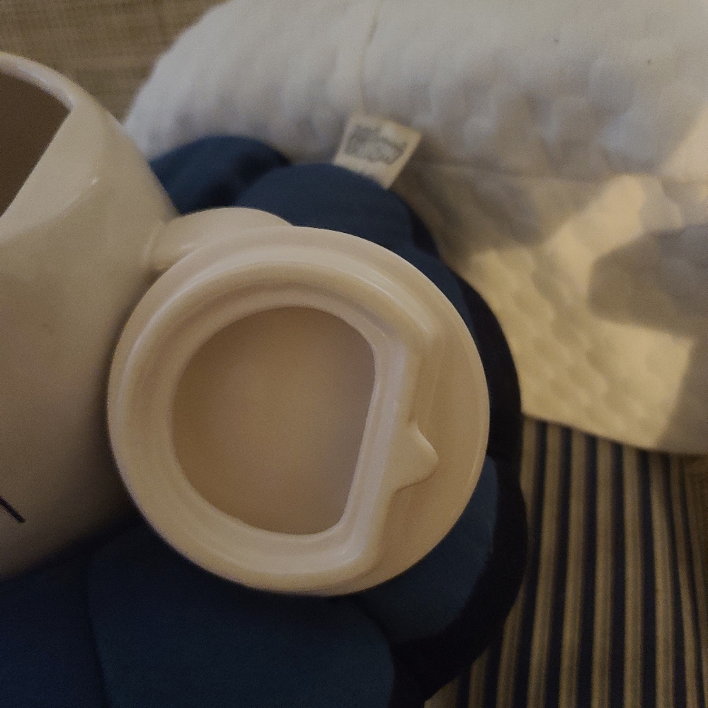 Rae Dunn Tea Pot - Picture 4 of 6